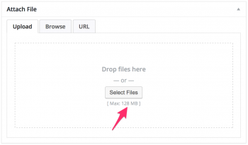 maximum file upload size