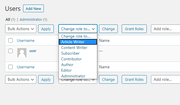 How To Create a Custom User Role In WordPress?