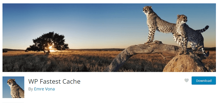 fix leverage browser caching with wp fastest cache