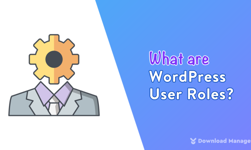 What are WordPress User Roles